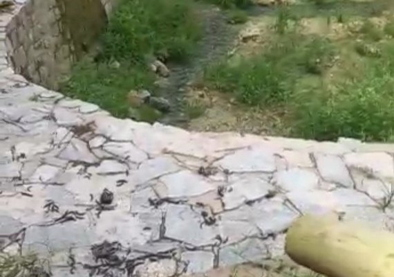 Abandono e descaso de Santuário Ecológico revoltam moradores em Atalaia