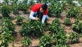 Agreste Saneamento beneficia produtores de orgânicos com doação de mantas