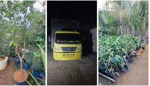 Dono de floricultura é preso suspeito de furtar R$ 300 mil em plantas de concorrente em Divinópolis