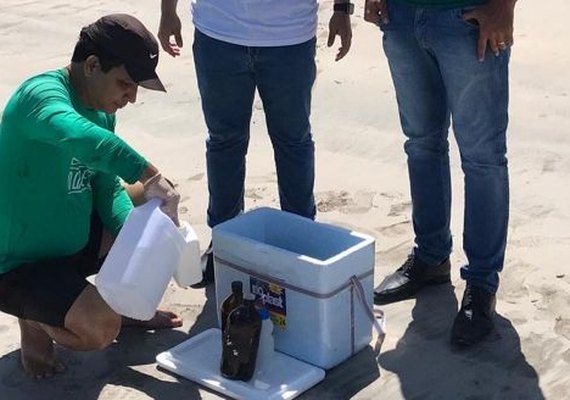 IMA faz coleta nas praias atingidas por óleo para identificar riscos do material à saúde