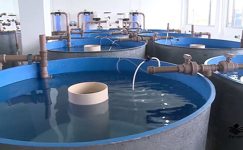 Aprovado em 2º turno projeto de dispensa de licença ambiental para a piscicultura continental