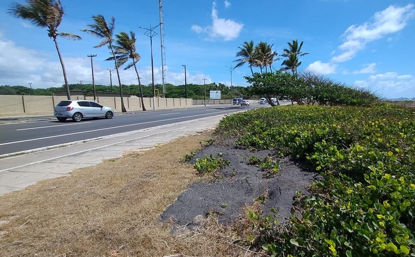 Comunidade do Pontal da Barra  reclama de suposto crime ambiental