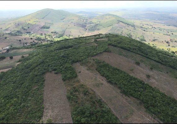 Multinacional canadense anuncia R$ 8 milhões para avaliar jazidas de ouro no Agreste