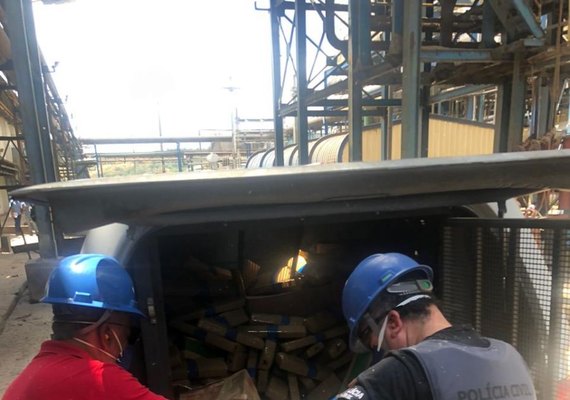 Delegacia de São Miguel dos Campos incinera 500 kg de drogas