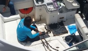 IMA vistoria placas para identificar presença do coral-sol na costa de Alagoas