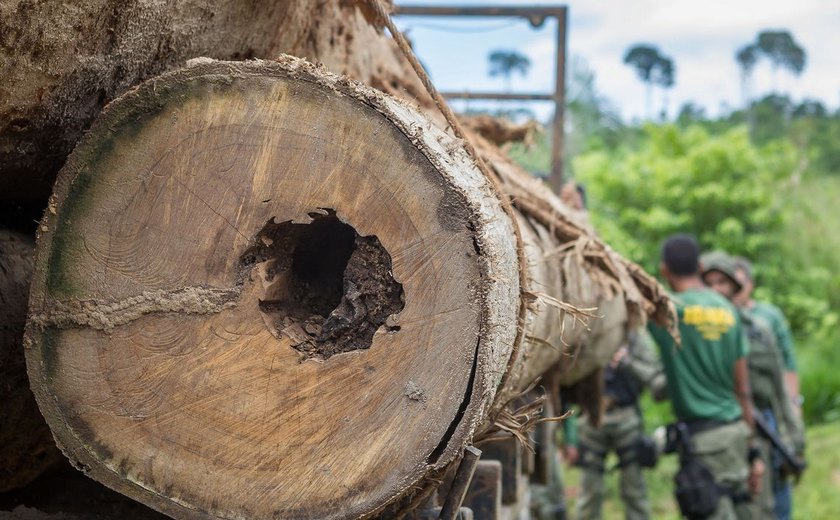 Desmatamento ameaça áreas protegidas da Bacia do Rio Xingu