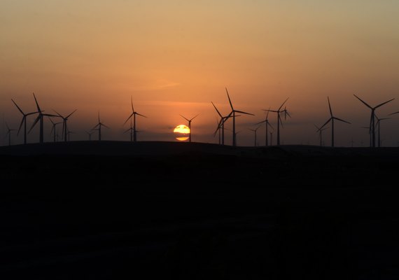 Estudo internacional destaca “prosperidade verde” do NE