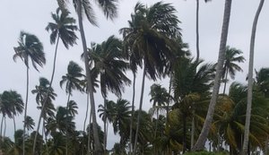 Defesa Civil de Alagoas reforça alerta sobre ventos fortes durante os próximos dias