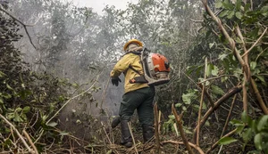 Incêdios no Amazonas resultam de ação humana intencional, diz ministro