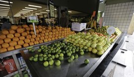 Universidade cria técnica que identifica uso de agrotóxicos em frutas