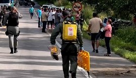 Motorista perde controle de carro, sai da pista e colide em árvore na BR-316 em Atalaia