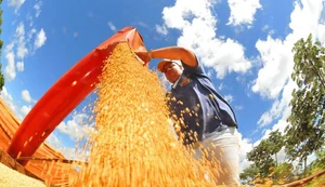 Agropecuária ajudou oito estados a crescerem mais que o Brasil em 2023