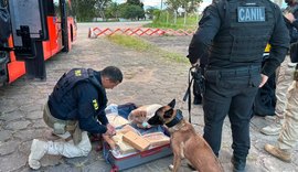 PRF apreende 31 kg de maconha dentro de ônibus em São Sebastião