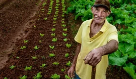 Transformação digital redefine nova fase do cooperativismo agropecuário