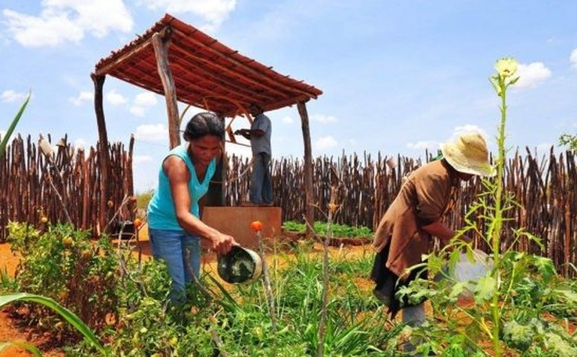 Alagoas foi Estado do Nordeste menos afetado pela crise econômica, segundo IBGE e Seplag