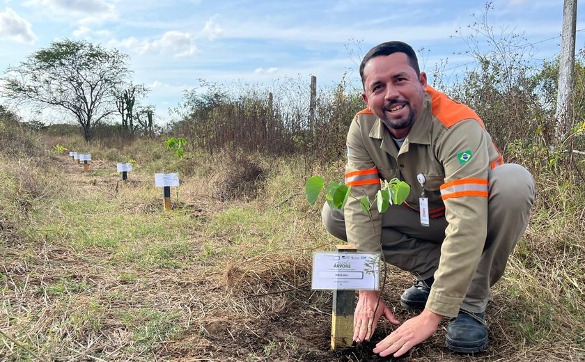 Homenageando visitantes, MVV realiza plantio de área equivalente a 1 campo de futebol