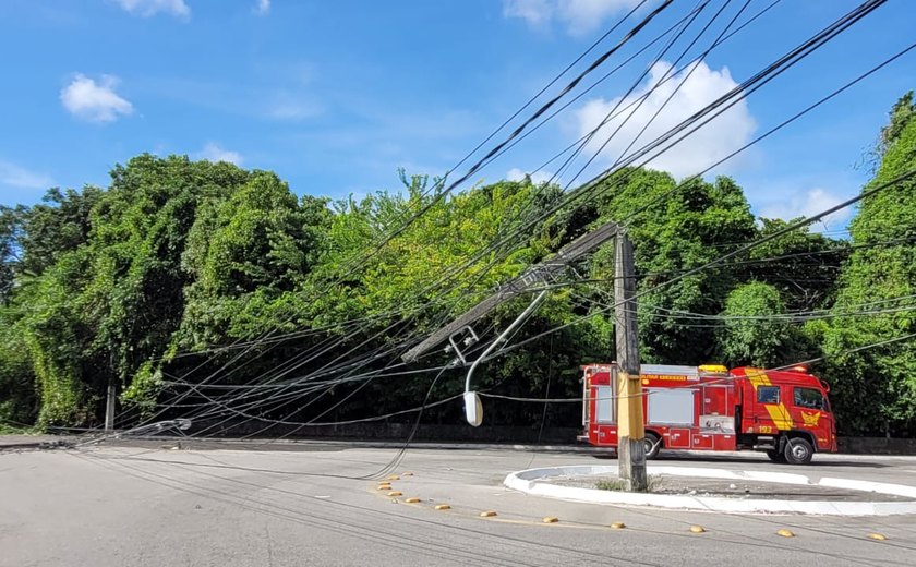 Árvore cai e atinge carro e poste elétrico na Gruta de Lourdes