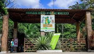 Ações sustentáveis da Alurb marcam o Dia Mundial do Meio Ambiente nesta sexta-feira