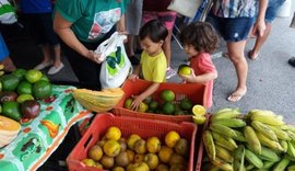 Agricultores realizam mais uma edição da Feira Orgânica na Praia neste domingo