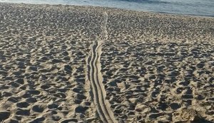 Bandidos explodem agências bancárias em Paraty e fogem pelo mar