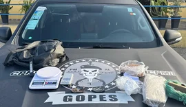 Suspeita de ser “guarda-roupa do tráfico” é presa com drogas em Campo Alegre