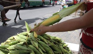 Com proximidade de festas juninas, preço do milho assusta consumidor maceioense