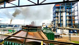 Cooperativa Pindorama projeta 2026 com foco em desenvolvimento coletivo