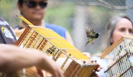 Centro de Triagem recebe animais silvestres entregues voluntariamente durante todo o ano