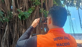 Defesa Civil inicia estudo técnico para avaliar saúde das árvores em praças de Maceió