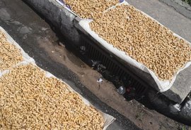 Vigilância apreende cerca de 15 kg de amendoim cozido impróprio para consumo