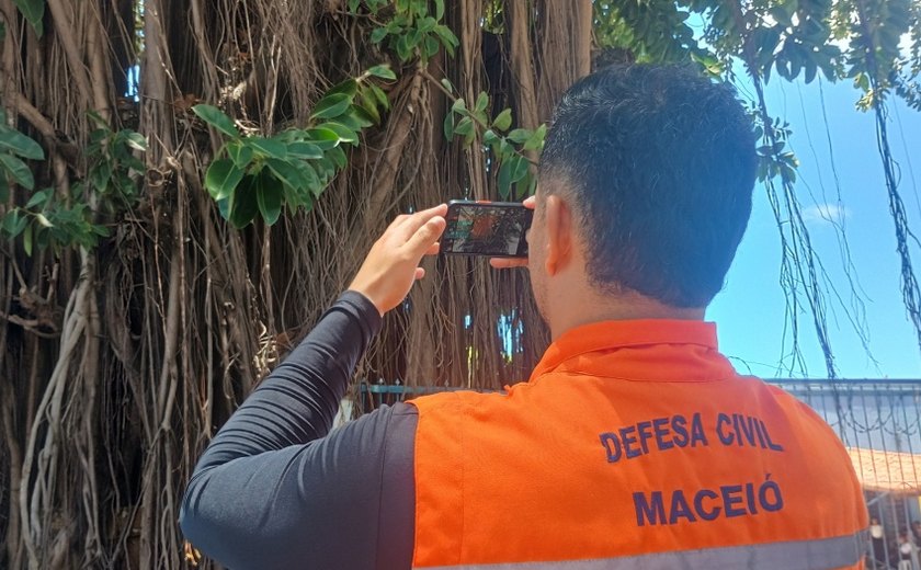 Defesa Civil inicia estudo técnico para avaliar saúde das árvores em praças de Maceió