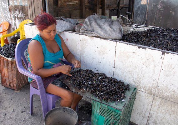 Conchas de sururu beneficiam mais de 20 famílias em Alagoas
