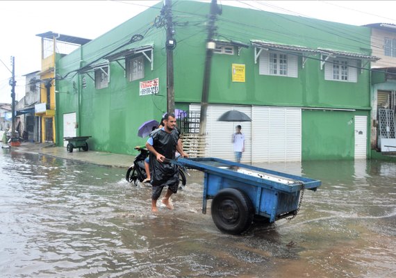 Sesau acende o alerta contra a leptospirose diante dos temporais que atingem Alagoas