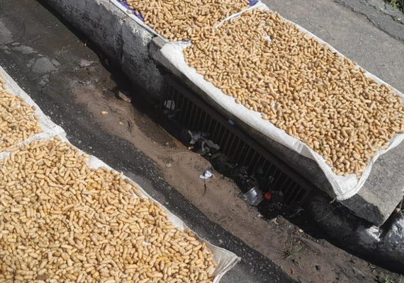 Vigilância apreende cerca de 15 kg de amendoim cozido impróprio para consumo
