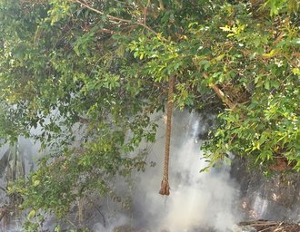 Incêndio é registrado em Área de Preservação Ambiental de Fernão Velho