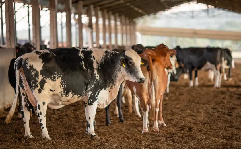 União Europeia suspende carnes do Brasil; entenda impacto e próximos passos
