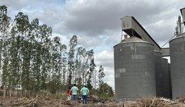 FPI dá prazo para regularização da disposição dos resíduos sólidos em fábrica