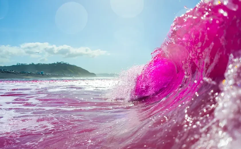 Entenda por que o mar ficou cor-de-rosa em San Diego, na Califórnia