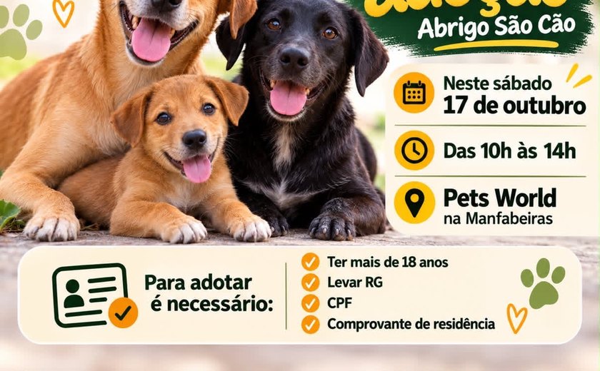 Abrigo São Cão promove feira de adoção neste sábado