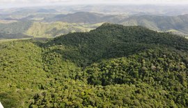 Conheça a APA de Murici: a maior área de proteção ambiental terrestre de Alagoas