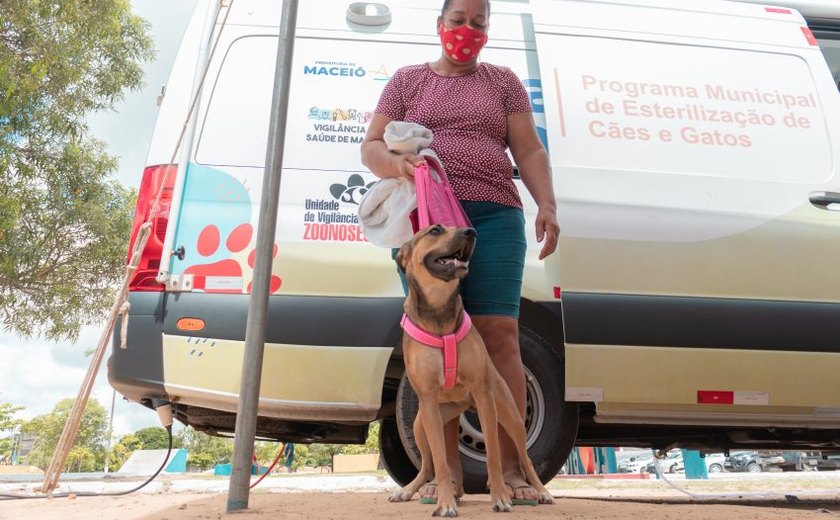 Gabinete da Causa Animal fará atendimento com Castramóvel na terça-feira (15), em Ipioca