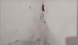Vídeo: mãe encontra escorpiões no quarto da filha em Japaratuba, Sergipe