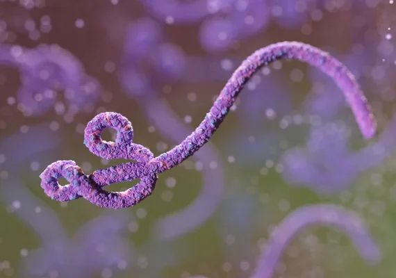 São Paulo investiga 2° caso suspeito de ebola em paciente de 31 anos
