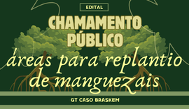 MPF abre chamamento para identificar áreas destinadas à recuperação de manguezais em Alagoas