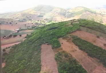 Mineradora não explorará ouro no Agreste de Alagoas