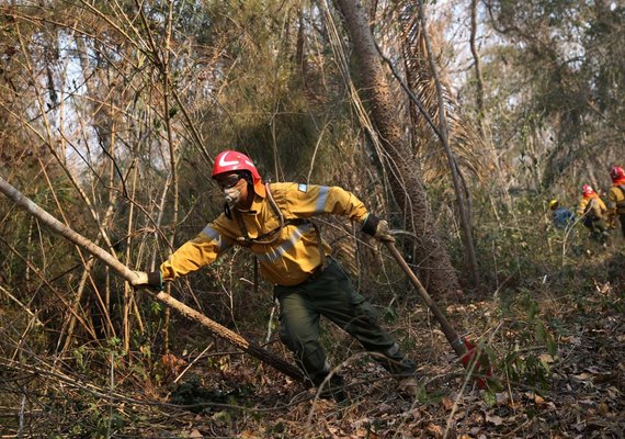 Chuvas ajudam a apagar queimadas na Bolívia após perda de mais de 4 milhões de hectares
