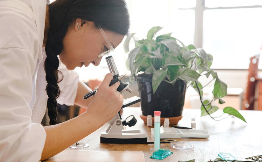 Governo de Alagoas investe R$6 milhões para iniciação científica e empreendedorismo no Ensino Médio