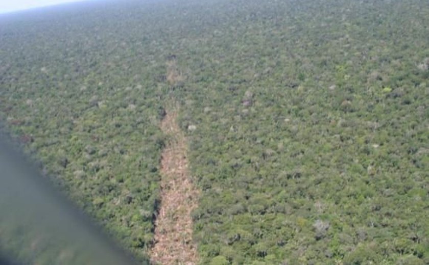 Entidades pedem veto de MPs que reduzem áreas protegidas na Amazônia