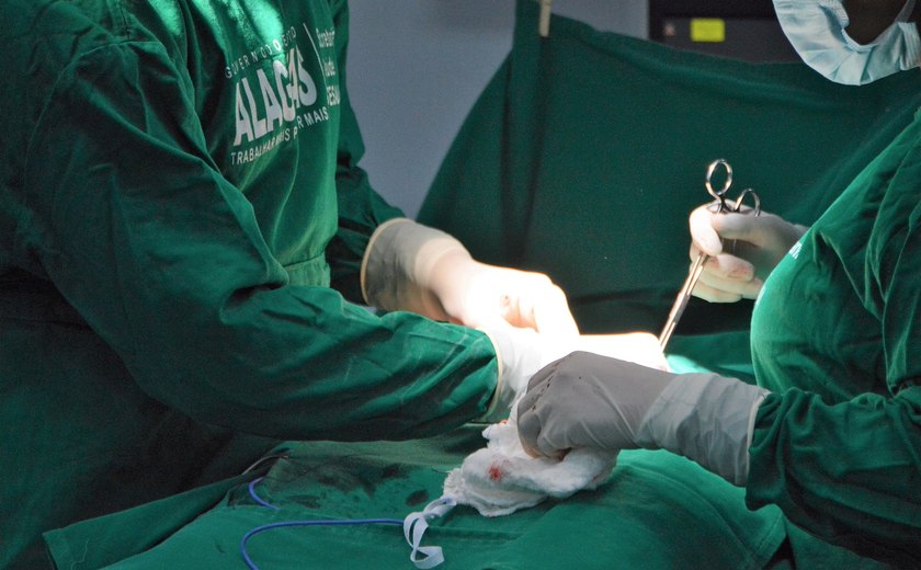 Alagoas fecha 2023 com quase 90 transplantes de órgãos realizados