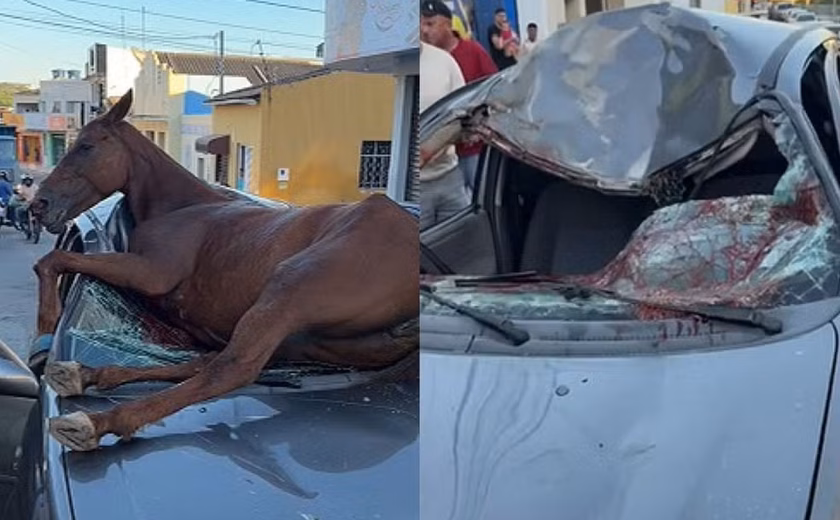 Cavalo desgovernado salta sobre carro e provoca acidente em Santana do Ipanema